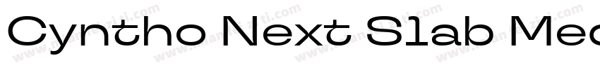 Cyntho Next Slab Medium字体转换